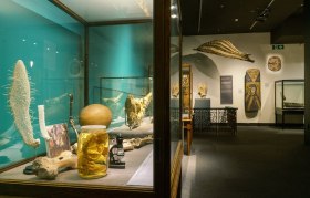 Installation view of an exhibit at SA Museum. 2021 showing a cabinet of fossils in jars and a bark shield hanging in mid-air.