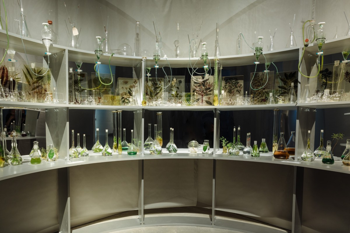 A gallery filled with plant specimens in glass containers