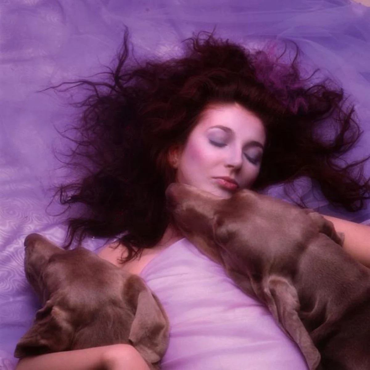 Ethereal, evocative, and inventive: why the music of Kate Bush spans  generations
