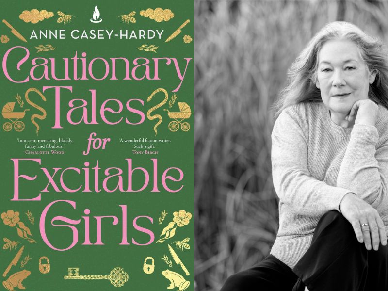 Book review Cautionary Tales for Excitable Girls by Anne Casey Hardy