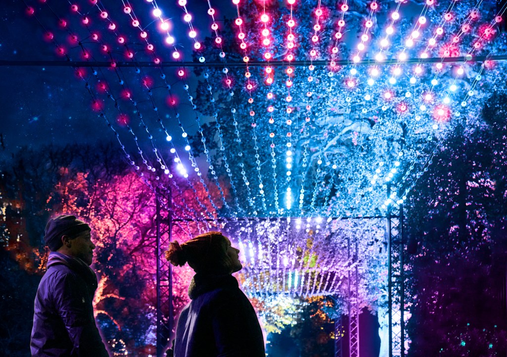 Installation review: Lightscape, Royal Botanic Gardens, Melbourne