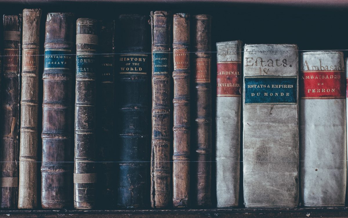 A shelf of old leather-bound history books