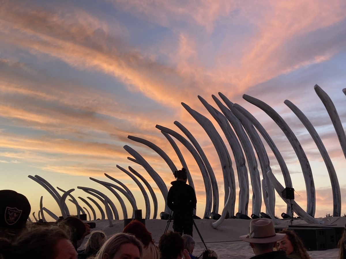 A sunset on a beach, some actor/dancers in the foreground in front of towering curved wooden poles that look like whale bones.