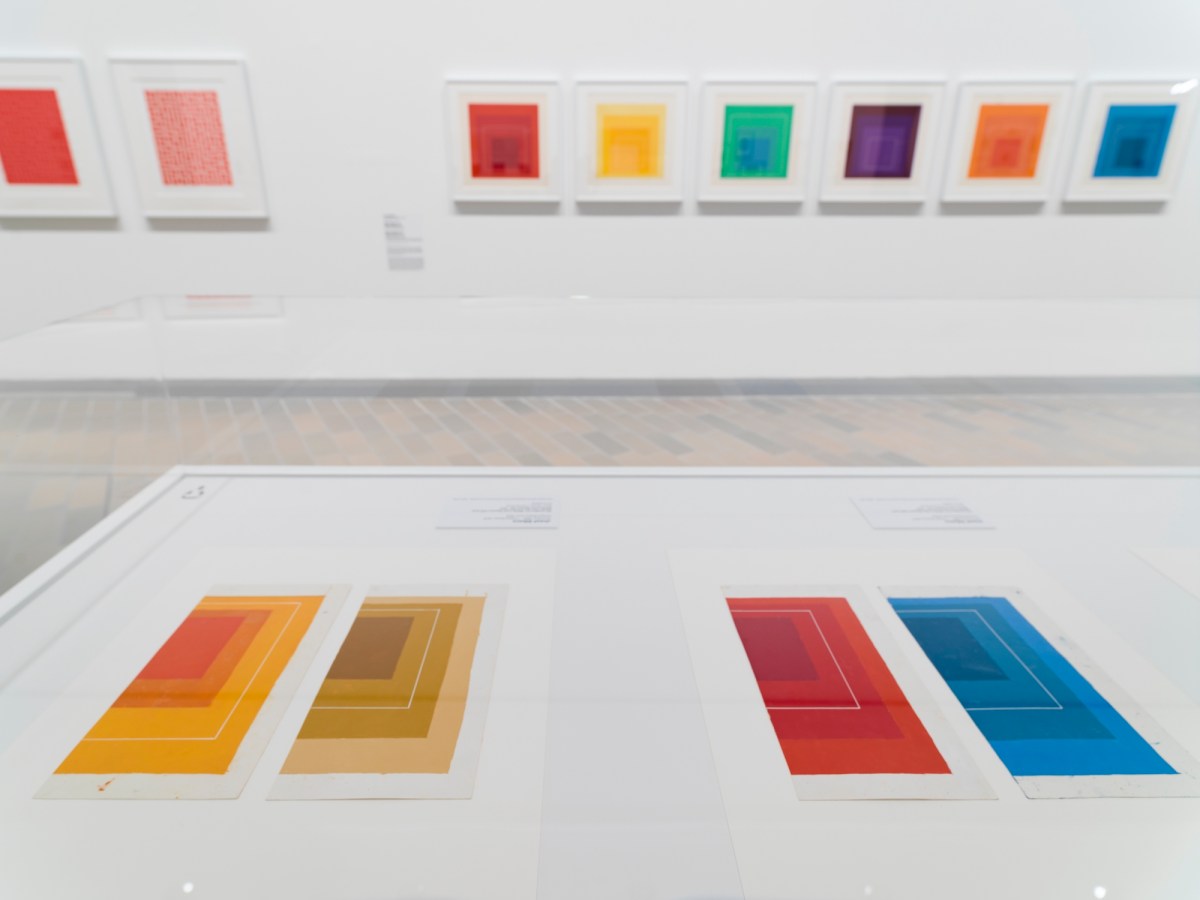 Colourful prints in white gallery setting. Josef Albers.