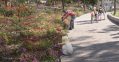 Laak Boorndap. A gardener in a pink shirt and grey cap is tending a flower bed in an urban garden alongside a path on which people are walking. In the foreground a young blonde girl dressed in white is crouched down touching flowers.