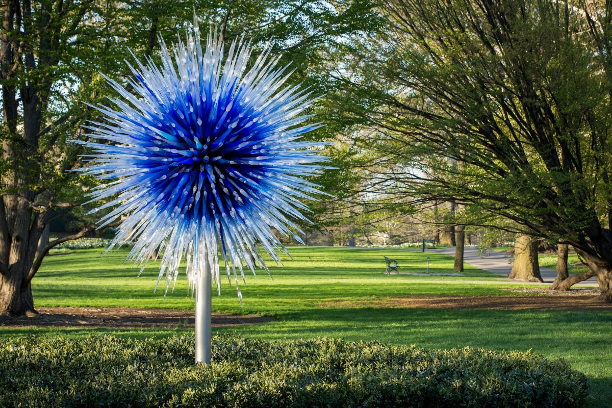 Blue star like glass sculpture on a stand in a garden setting. Dale Chihuly.