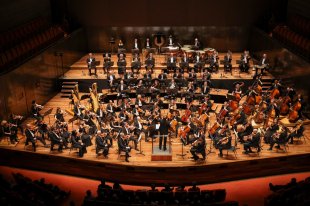 The musicians of the Melbourne Symphony Orchestra arrayed on stage in a grand concert hall.