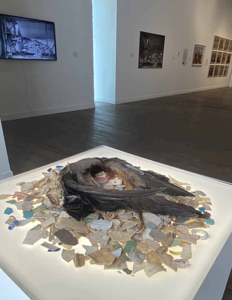 Dissected seabird in a gallery, with the contents of its stomach - plastics and other debris - laid out around it. Anne Zahalka.