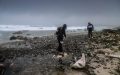 Participating artists of the King Island Artist Residency Program. Julie Ryder and George Kennedy are captured in an attempted field trip to whale bone beach. Two figures on a rocky beach bracing against grey and gloomy weather.