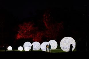 Work inspired by Michelle Yeatman at 'Lightscape'. Art Playgrounds like this one have exploded in popularity.