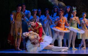 Jesse Homes (as the Prince) is holding onto Chihiro Nomura (Princess Aurora) as she lays almost horizontal to the ground. A ballet ensemble surrounds them. The Sleeping Beauty.