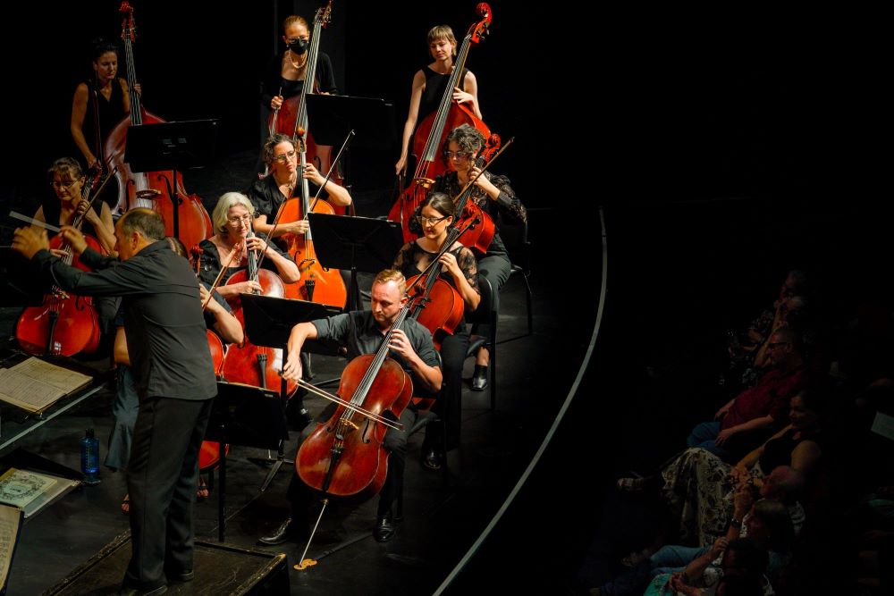 Darwin Symphony Orchestra in concert. The photo focuses on members of the string section, including cellists and double bass players, with the conductor visible in the foreground. Audience members can be glimpsed sitting beside the stage in the darkened auditorium. 