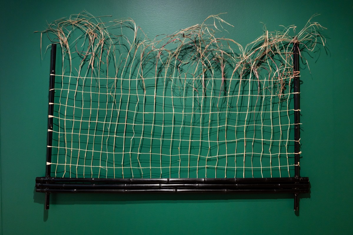 Strands of grass displayed in a grid formation.