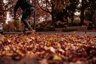 Arts sector appointments are covered every week in ArtsHub's On the Move column. A low-angle photo of a skateboarder skating past autumn leaves on a quiet, tree-lined street.