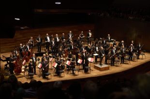 An orchestra with all the musicians in black.