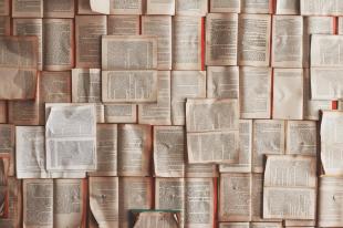 A photo of multiple books all opened to reveal the pages within and lined up to cover the whole frame.