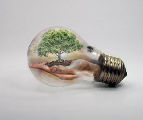 A tree within a light bulb.