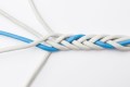 A blue and white rope are intertwined.